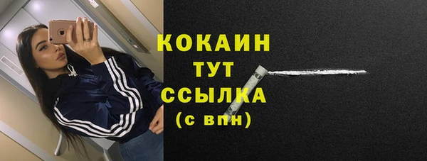 твердый Ростов