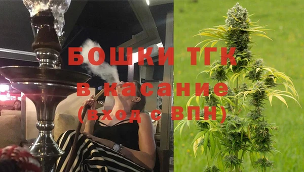 стаф Галич