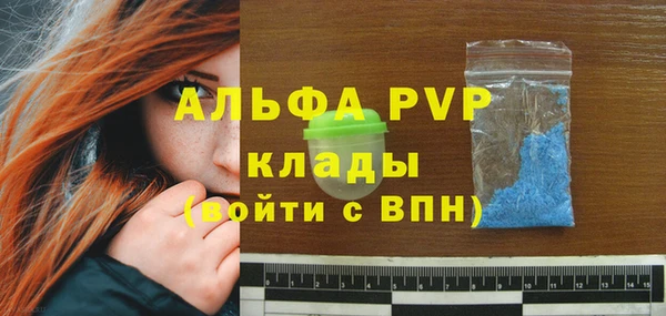 твердый Ростов